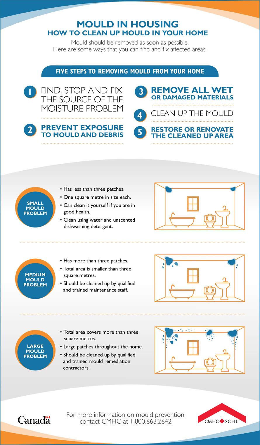  Mould cleanup at a glance: infographic