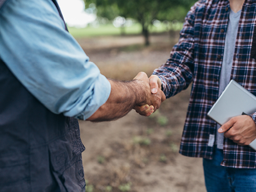 Picture of Creation of a Community Land Trust for Affordable Housing | CMHC