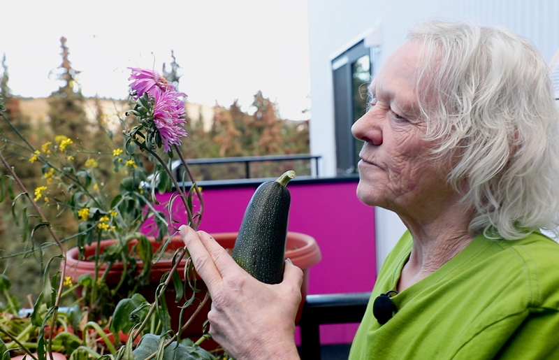 I can’t not garden. It’s kinda in my blood. Cornerstone resident Melaine enjoys her balcony garden and grows vegetables that she shares with her neighbours.